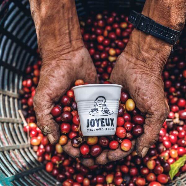 Our Joyeux coffees meet quality criteria identified by specialists, which classifies them as "speciality" coffees.